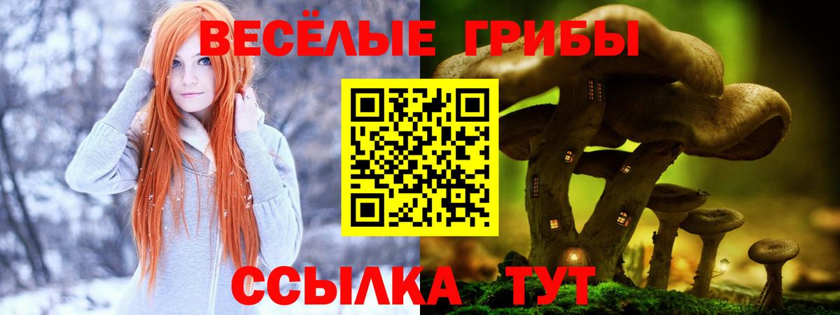Псилоцибиновые грибы Psilocybine cubensis Новодвинск