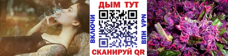 Конопля OG Kush  где купить   Новодвинск 